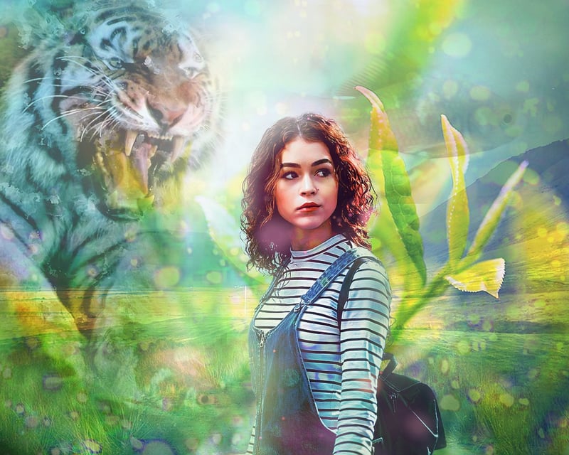 Whimsical Wonderlands