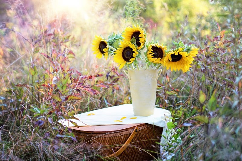 Plantable Seeds